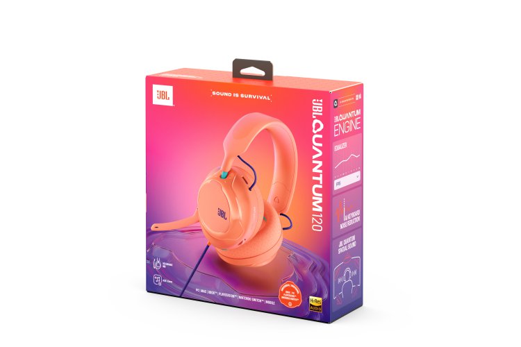 JBL Quantum 120 #1
