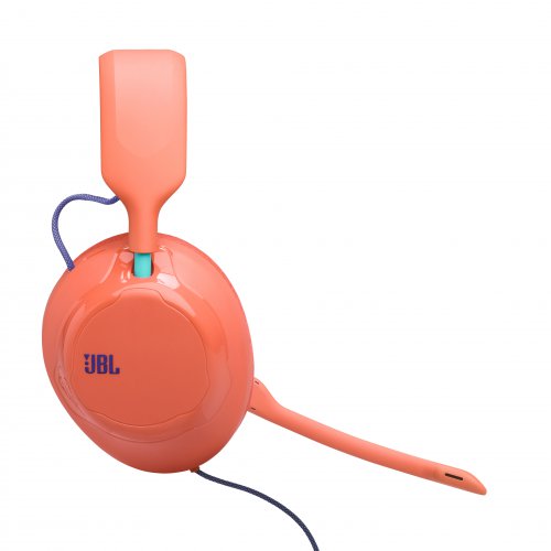 JBL Quantum 120 #1