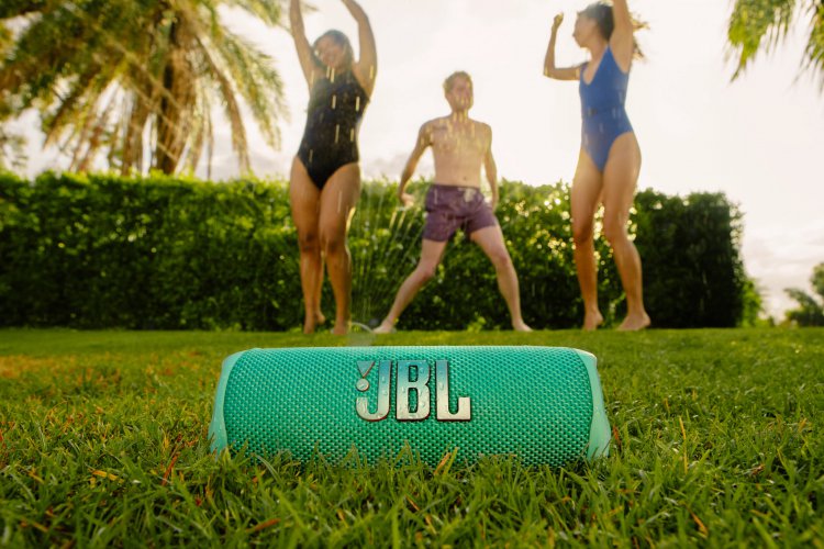 JBL Flip 6 #1