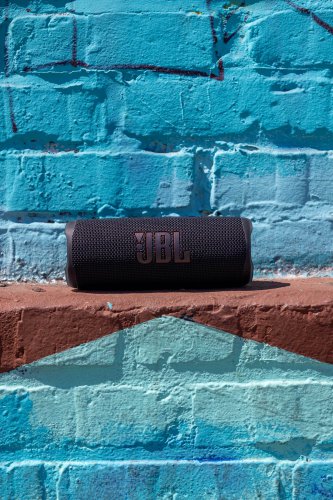 JBL Flip 6 #1