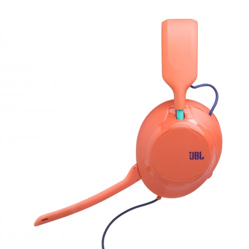 JBL Quantum 120 #1