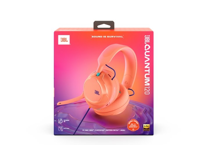 JBL Quantum 120 #1