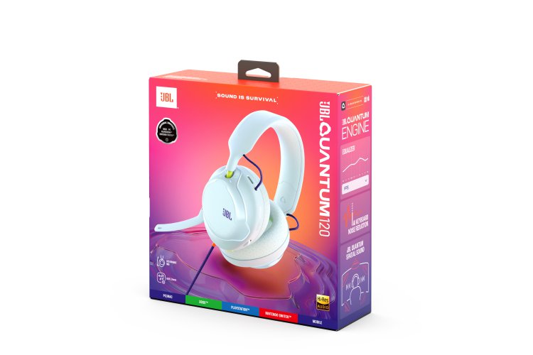 JBL Quantum 120 #1