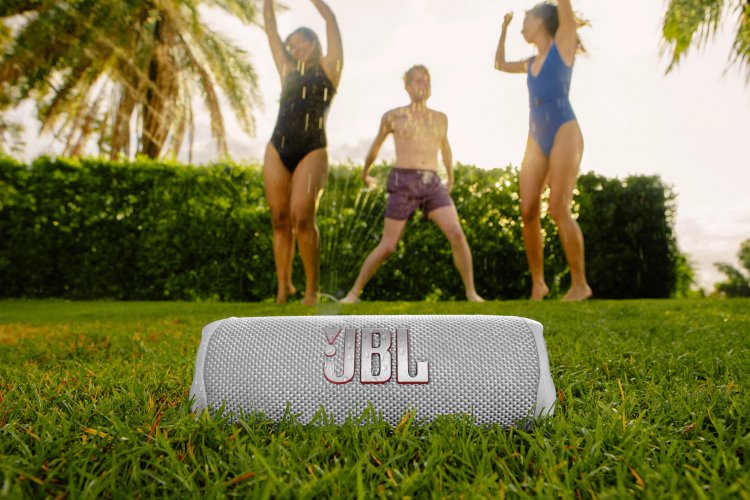 JBL Flip 6 #1