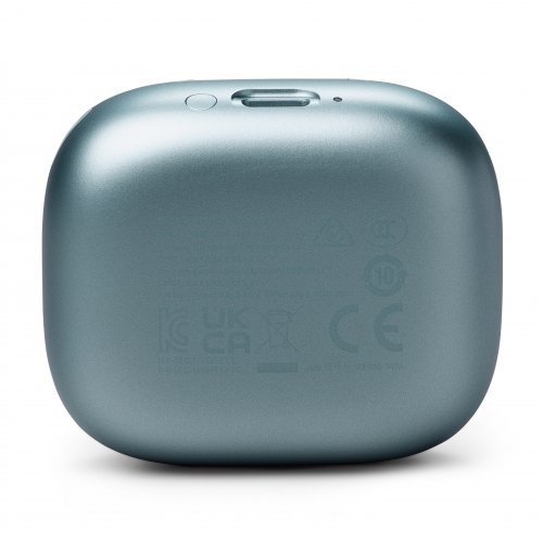 JBL Live Flex 3 #1