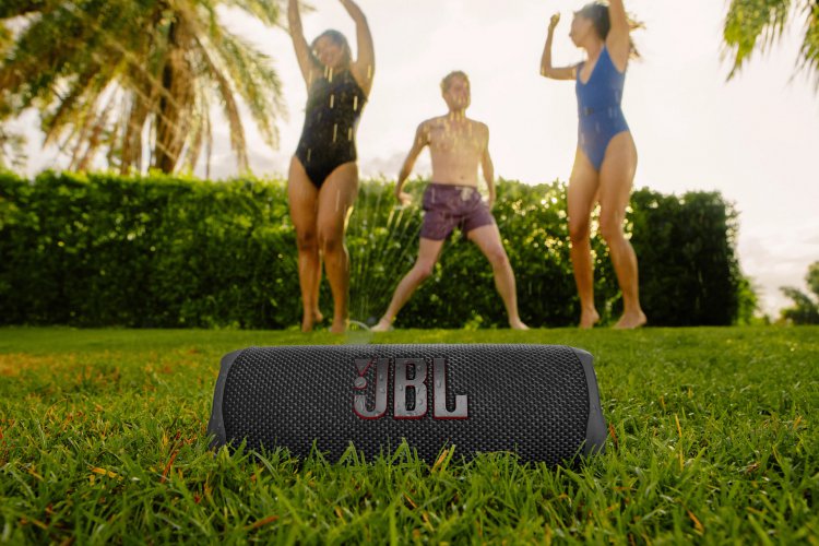 JBL Flip 6 #1