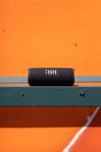 JBL Flip 6 #1