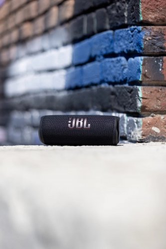 JBL Flip 6 #1