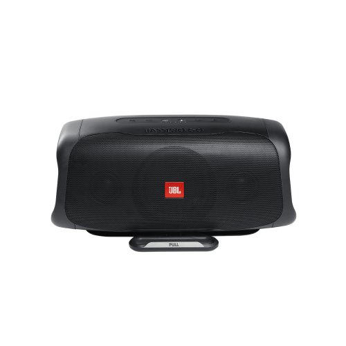 JBL BassPro Go #1