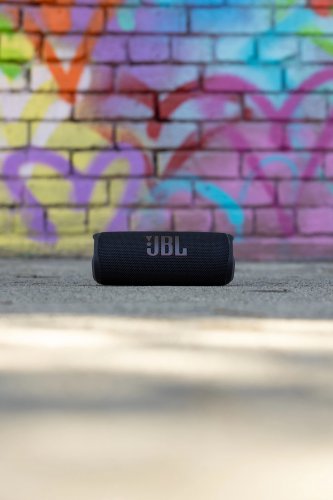 JBL Flip 6 #1