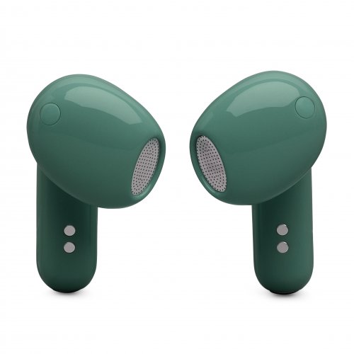 JBL Live Flex 4 #1